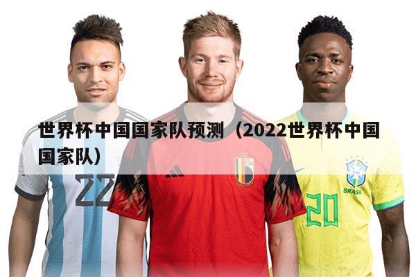 世界杯中国国家队预测（2022世界杯中国国家队）