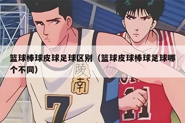 篮球棒球皮球足球区别（篮球皮球棒球足球哪个不同）