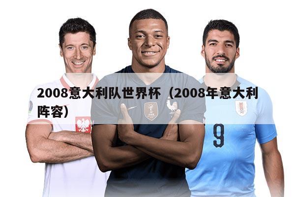2008意大利队世界杯（2008年意大利阵容）