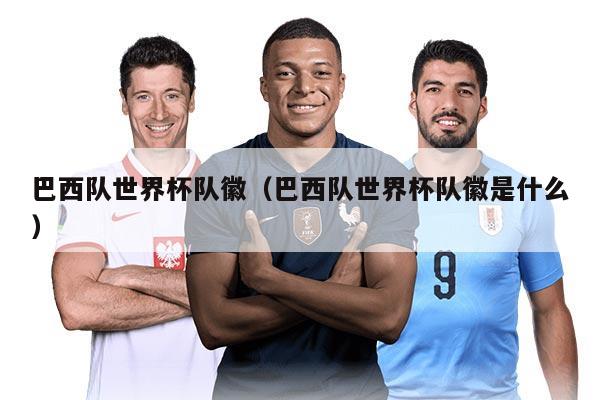 巴西队世界杯队徽（巴西队世界杯队徽是什么）