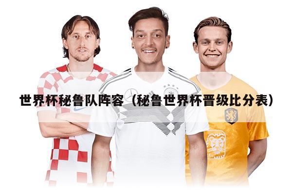 世界杯秘鲁队阵容(秘鲁世界杯晋级比分表)