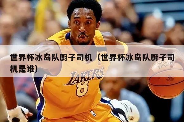 世界杯冰岛队厨子司机(世界杯冰岛队厨子司机是谁)