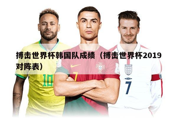 搏击世界杯韩国队成绩（搏击世界杯2019对阵表）