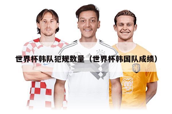 世界杯韩队犯规数量（世界杯韩国队成绩）
