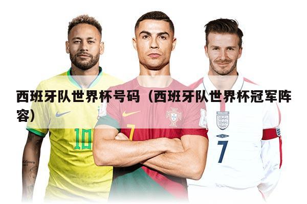 西班牙队世界杯号码（西班牙队世界杯冠军阵容）