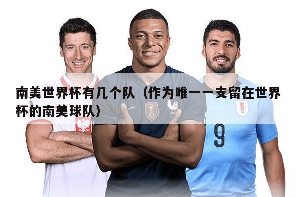 南美世界杯有几个队（作为唯一一支留在世界杯的南美球队）