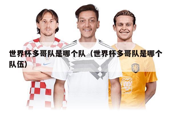 世界杯多哥队是哪个队(世界杯多哥队是哪个队伍)