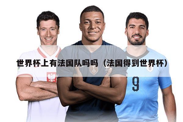 世界杯上有法国队吗吗（法国得到世界杯）
