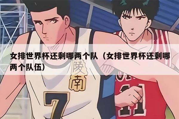 女排世界杯还剩哪两个队(女排世界杯还剩哪两个队伍)