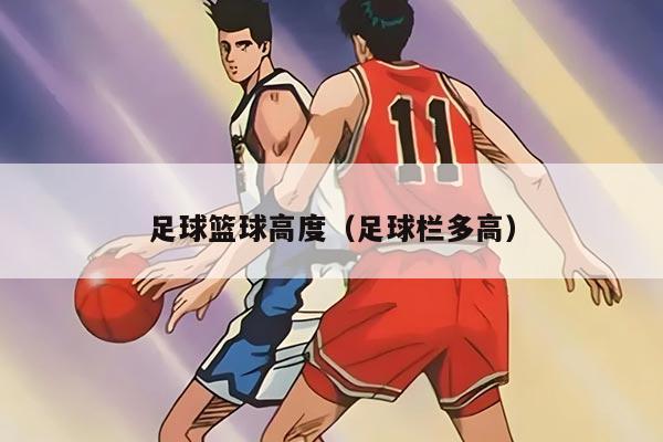 足球篮球高度(足球栏多高)