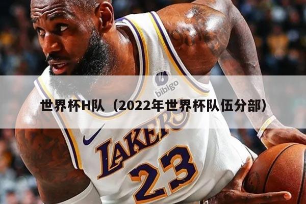 世界杯H队（2022年世界杯队伍分部）
