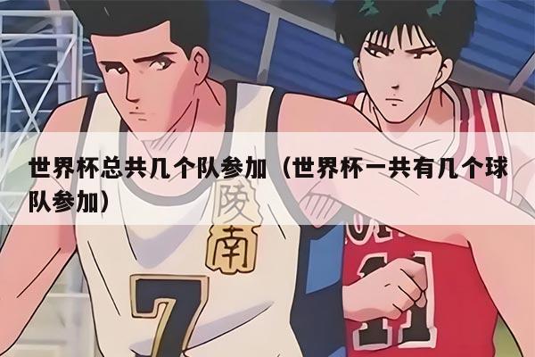 世界杯总共几个队参加(世界杯一共有几个球队参加)