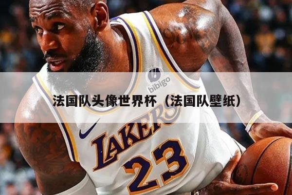 法国队头像世界杯（法国队壁纸）