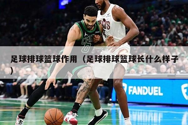 足球排球篮球作用(足球排球篮球长什么样子)