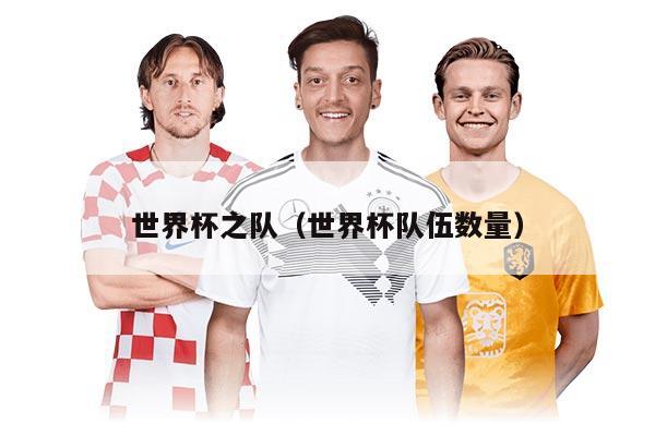 世界杯之队(世界杯队伍数量)