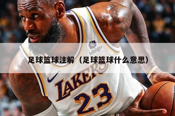 足球篮球注解（足球篮球什么意思）