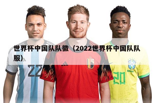 世界杯中国队队徽（2022世界杯中国队队服）