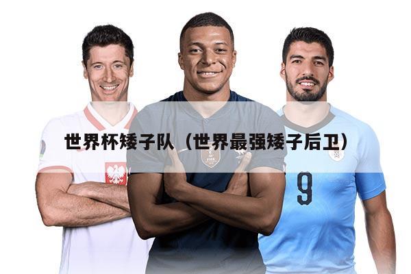 世界杯矮子队（世界最强矮子后卫）