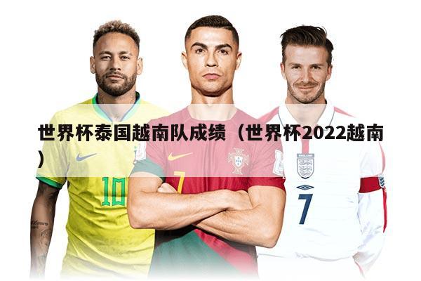 世界杯泰国越南队成绩（世界杯2022越南）