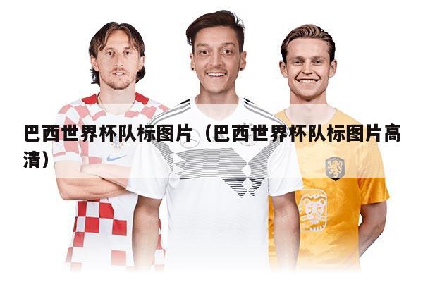 巴西世界杯队标图片（巴西世界杯队标图片高清）