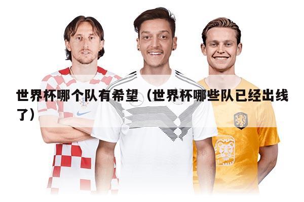 世界杯哪个队有希望（世界杯哪些队已经出线了）