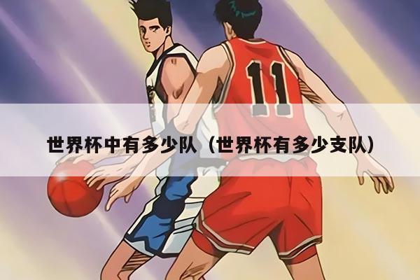 世界杯中有多少队（世界杯有多少支队）