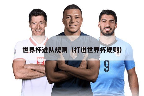 世界杯进队规则（打进世界杯规则）