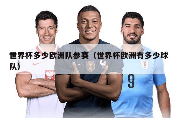 世界杯多少欧洲队参赛(世界杯欧洲有多少球队)