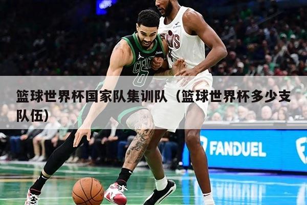篮球世界杯国家队集训队（篮球世界杯多少支队伍）