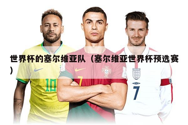 世界杯的塞尔维亚队（塞尔维亚世界杯预选赛）