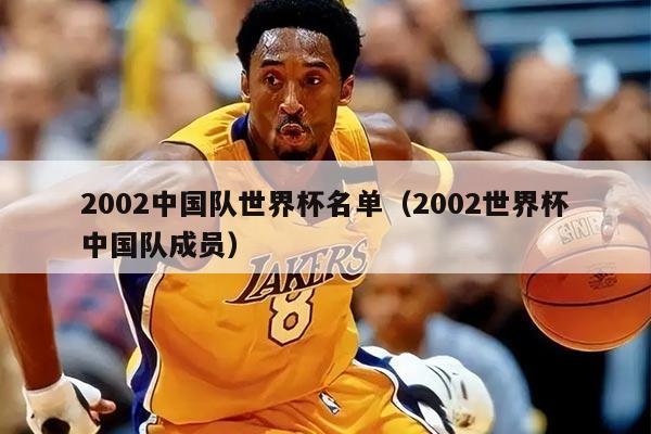 2002中国队世界杯名单（2002世界杯中国队成员）