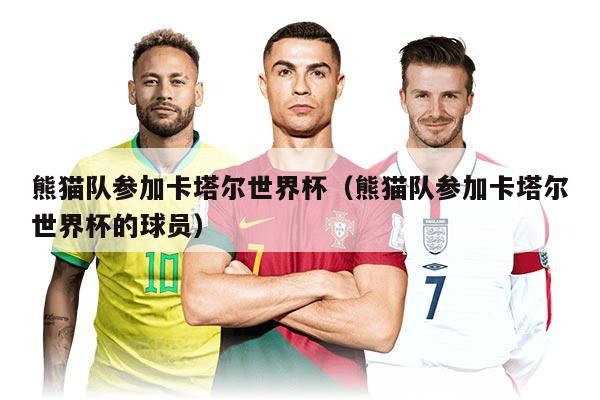 熊猫队参加卡塔尔世界杯(熊猫队参加卡塔尔世界杯的球员)