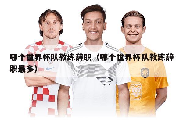 哪个世界杯队教练辞职(哪个世界杯队教练辞职最多)