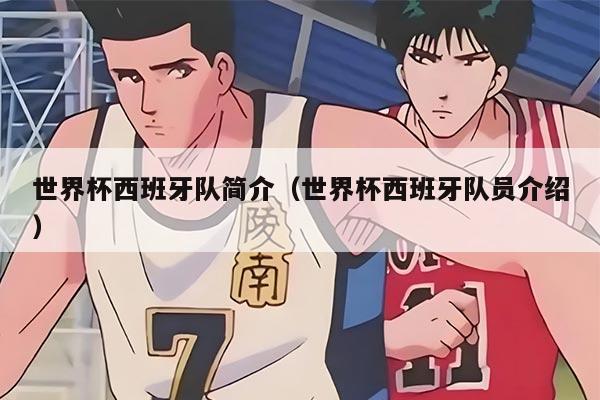 世界杯西班牙队简介（世界杯西班牙队员介绍）