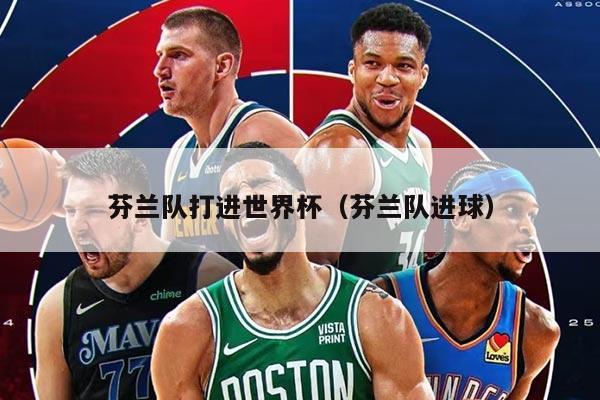 芬兰队打进世界杯（芬兰队进球）