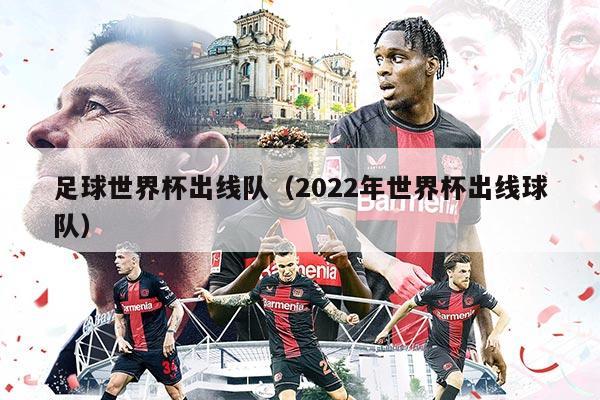 足球世界杯出线队（2022年世界杯出线球队）