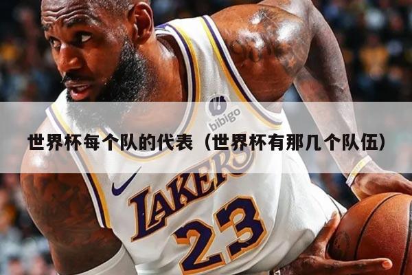 世界杯每个队的代表（世界杯有那几个队伍）
