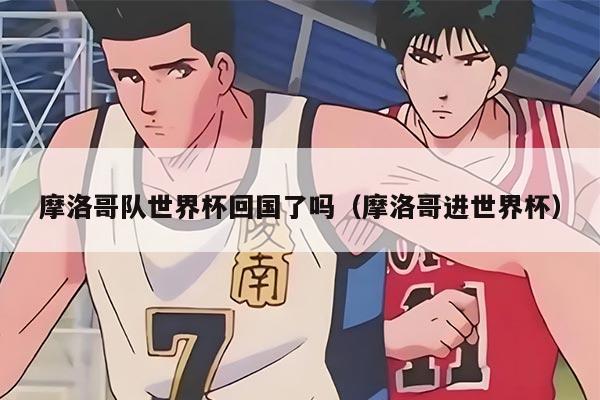 摩洛哥队世界杯回国了吗（摩洛哥进世界杯）