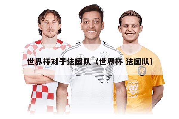 世界杯对于法国队(世界杯 法国队)