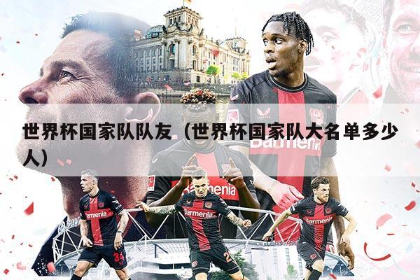 世界杯国家队队友（世界杯国家队大名单多少人）