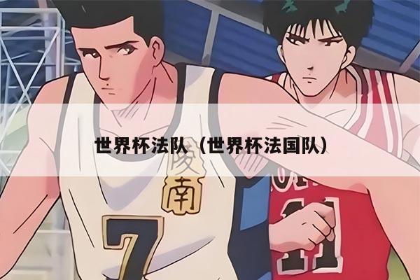 世界杯法队（世界杯法国队）