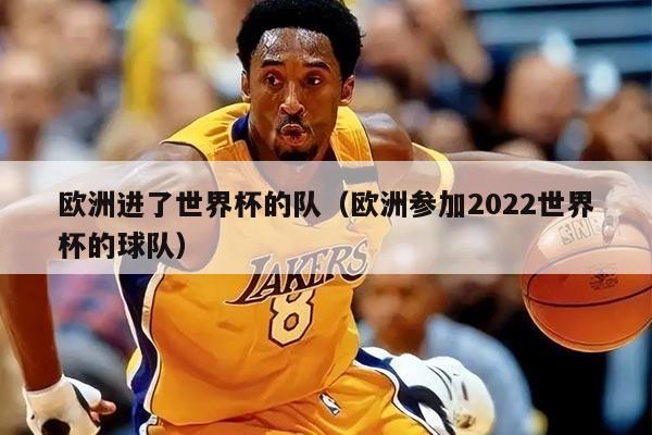 欧洲进了世界杯的队（欧洲参加2022世界杯的球队）