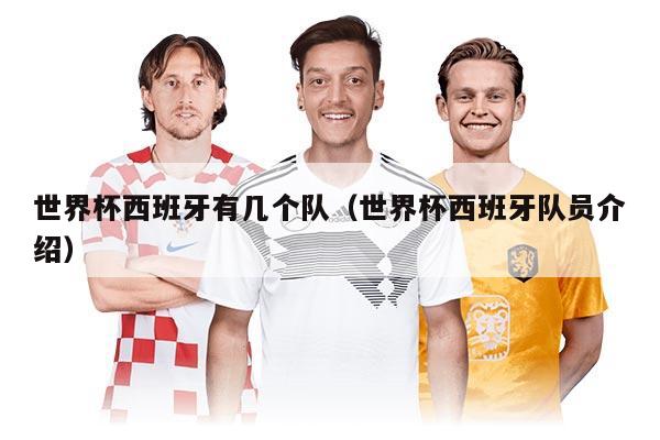 世界杯西班牙有几个队（世界杯西班牙队员介绍）