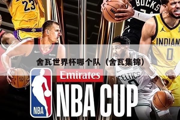 舍瓦世界杯哪个队（舍瓦集锦）