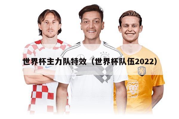 世界杯主力队特效(世界杯队伍2022)