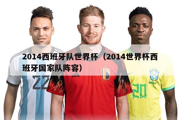 2014西班牙队世界杯（2014世界杯西班牙国家队阵容）