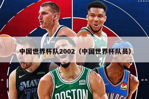 中国世界杯队2002（中国世界杯队员）