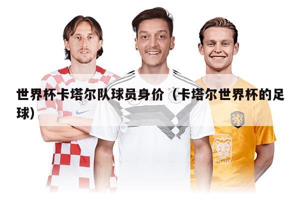 世界杯卡塔尔队球员身价(卡塔尔世界杯的足球)