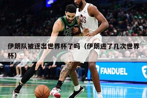 伊朗队被逐出世界杯了吗(伊朗进了几次世界杯)