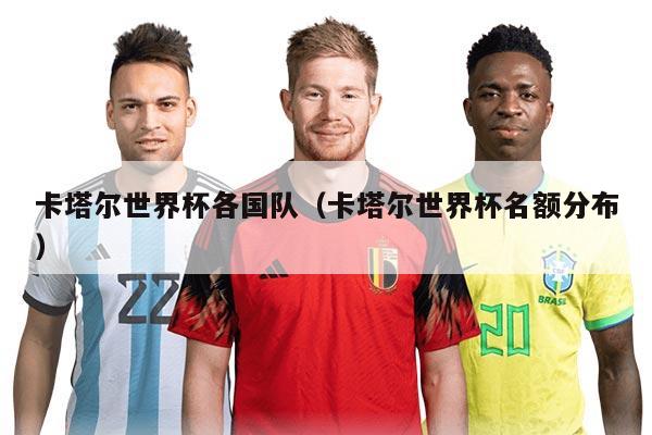 卡塔尔世界杯各国队（卡塔尔世界杯名额分布）